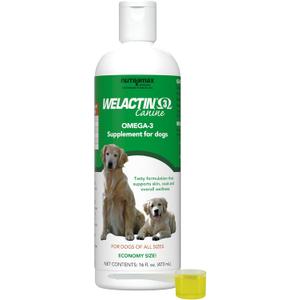 Nutramax Welactin Omega 3 Fish Oil for Dogs, Skin and Coat Health Supplement, Plus Joint, Immune, Kidney, and Brain Support, Premium Omega 3 Fatty Acids, For Dogs, 16 Ounce Liquid