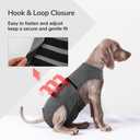 PUMYPOREITY Dog Diaper with Suspender, Escape-Proof Anti-Harassment Garment for Heat Cycle, Incontinence, Puppy Training, Senior Dog, M, Grey