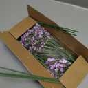 MARTINE MALL Babys Breath Artificial Flowers, 10 PCS Purple Baby Breath Flowers Artificial Bulk, Fake Babys Breath Gypsophila Real Touch Faux Babys Breath for Wedding Floral Arrangement Home Decor