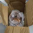 JHY DESIGN Dimmable Touch Bedside Table Lamp 8.5''H Rechargeable Battery Powered Lamp with LED Edison Style Bulb Cordless Accent Lamp for Weddings Parties Patio Events for Indoors Outdoors (Black egg)