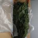 National Tree Company 7.5 ft Pre-Lit Dunhill Fir Artificial Christmas Tree, 600 Clear Lights, 2,189 Tips, Includes Stand, Green