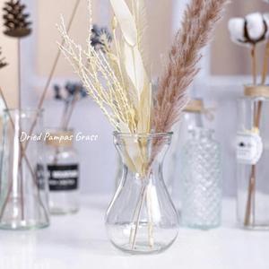 Glass Vase 5.5" 5 Pcs