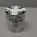 Rust-Oleum 1990502 Painter's Touch Latex Paint, Quart, Flat White 32 Fl Oz (Pack of 1)
