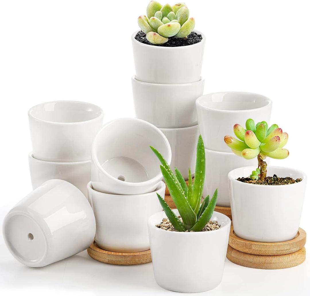 Tosnail 12 Pack 2.5 Inch Small Succulent Pots with 12 Bamboo Trays, Round White Ceramic Mini Plant Pots, Tiny Succulent Planters, Cactus, Flower, Air Plant Containers, Modern Home and Office Decor