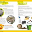 Ultimate Explorer Field Guide: Rocks and Minerals