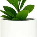 Fox & Fern Large 12 Inch Planter  Premium Lightweight Fiberstone Matte White Plant Pot w Drainage Plug; Large Indoor & Outdoor Planter; 12 Inch Pots for Plants Indoor; Weather & UV Resistant