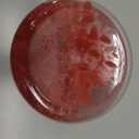 Magnesium Glycinate Gummies 1000mg with Magnesium L-Threonate,Chelated Magnesium Potassium Complex Supplement with VitD, B6, CoQ10, Calcium,Supports for Memory, Calm, Mood - 90 Gummies Strawberry