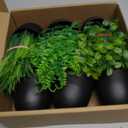 SENNI mini Artificial Simulation Plants and Green Plant Potted Plants Suitable for Home, Office Desk, Bathroom, Dining Room Table Decoration, Festival Decoration, new Home Decoration (6)
