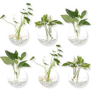 Hanging Wall Planters Pack of 6 Glass Planter Pots Round Glass Flower Vases Hanging Propagation Station Glass Plant Hanger Terrariums Wall Hanging Plant Container