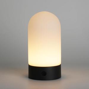 Battery Operated Shower Lamp Waterproof, Small Portable Cordless Table Lamp Rechargeable, Touch Dimmable Mood Light for Home/Patio/Dining/Outdoor (Black)