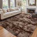 6x9 Ft Large Shag Brown Area Rug for Living Room, Tie-Dyed Ultra Soft Fluffy Furry Rugs for Bedroom Indoor Floor, Aesthetic Carpet for Kids Home Decor (Coffee)