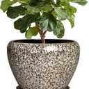 Ceramic Pots for Plants - 10 Inch Planters for Indoor Outdoor Plants, Decorative Plant Pots with Drainage Hole and Saucer, Large Plant Pot, Living Room Decor, Gardening Gifts, White Leopard