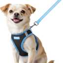 rabbitgoo Dog Harness Small Sized and Leash Set, Step-in Breathable Pet Harness, Soft Walking Reflective Puppy Vest for Small Dogs, Black & Light Blue, XXS