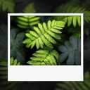 902XL Black Ink Cartridge Compatible for HP902 HP 902 XL Ink for OfficeJet 6950 6951 6954 6956 6958 6961 6962 6963 6964 6966 for OfficeJet Pro 6978 6958 6968 6958 6962 6964 6950 6960 6970 Printer