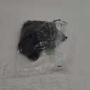 CRAZY GRID Women's Shirts Summer Casual Crewneck Ruffle Short Sleeve Blouses Cute Floral Print Tunic Tops, L, Black