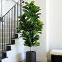 FLOWORLD Fiddle Leaf Fig Tree 6ft Tall Artificial Tree in Plastic Pot Fake Ficus Lyrata Plants with 184 Decorative Fiddle Leaves Faux Fig Trees for Home Office Living Room Decor Indoor Outdoor