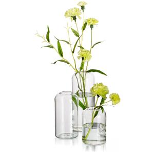 Hewory Modern Glass Bud Vase for Flower: 24PCS Blown Clear Small Vase Bulk