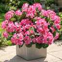 Artificial Geranium Fake Flowers for Outdoors Decoration, 6 Bundles Silk Geraniums Pink Flower UV Resistant Look Real Faux Plants for Outside Planter Front Door Garden Porch Patio Balcony Yard Home