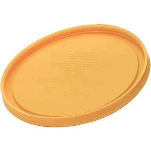 Orange Frisbee 8in 2 Pack