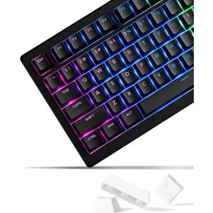 SDYZ x XVX Doubleshot PBT Keycaps 60 75 100 Percent - Shine Through Keycaps, for Mechanical Keyboards, Full 137 Key Set, OEM Profile, Backlit - Black SDYZ x XVX Doubleshot PBT Keycaps 60 75 100 Percent - Shine Through Keycaps, for Mechanical Keyboards, Full 137 Key Set, OEM Profile, Backlit - Black