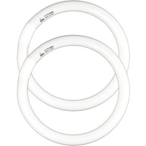 FC12T9 32 Watts Circline Light Bulbs Daylight, Circular 12 Inch T9 32W Round Fluorescent Bulb Replacement for Circle Ceiling Fixture Lamp, DL 6500K Tube, G10q 4 Pin Base, 2 Pack