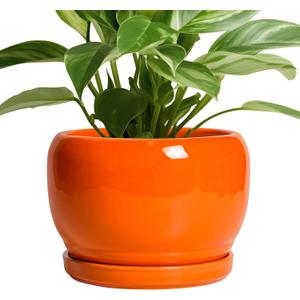 SQOWL Ceramic Pot for Plants - 8 Inch Plant Pot Indoor Outdoor, Modern Round Planter with Drainage Hole and Saucer, Decorative Planter for Flower, Office Decor, Garden Gifts for Women, Orange