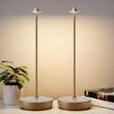 2Pack Rechargeable Cordless Table Lamp, Portable Powered LED Battery 6000mAh Metal USB Desk Lamp, 3 Levels Brightness Light for Restaurants Outdoor (2pack Titanium)
