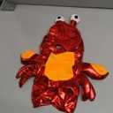 Red Crab Lobster Costume Pet Coat Clothes for Cat Dog Kitten Puppy Pet Halloween Cosplay