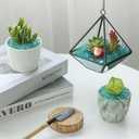 T4U Fish Tank Gravel 2 LB, Tumbled Small Rocks for Aquarium, Glass Beads for Vases, Succulent Rocks for Plants, Aquarium Gravel Decorative Pebbles for Terrarium Crafts Vase Filler, Green