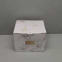 INFOOD 0.8L Gooseneck Electric Kettle, Precise Temperature Control for Pour Over Coffee & Tea, 1200W Fast Boiling Water, Auto Shut Off, Scheduling, Stainless Steel, Floral Painted Design