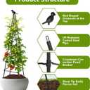 2 Pack Garden Trellis for Climbing Plants Outdoors, 70inch Tower Obelisk Trellis for Potted Climbing Plants, Plant Support for Potted Flowers, Roses, Tomatoes, Cucumbers & Vegetables