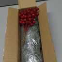 AFPV Christmas Decorations for Home Indoor Artificial Evergreen Pine Branches with Red Berry Stems for Christmas Trees, Plants Decor & Navidad Decoracin (Red Berry Set)