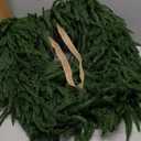 24" Norfolk Pine Christmas Wreath for Front Door  Large Artificial Greenery Wreath for Wall, Porch, or Indoor Outdoor Holiday Decor  Real Touch Pine Foliage (1, 24")