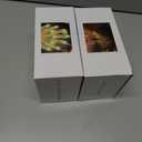 2 x Christmas Lights 34FT Outdoor Waterproof Decoration String Lights 100 Count Warm White for Wedding Outdoor Indoor Xmas Party Christmas Tree Bushes (1, 34ft)