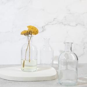 Glass Bud Vase Set of 16, Small Flower Vases, Glass Vases for Centerpieces, Vintage Home Table Decorations Bud Vases (16 Pcs, Clear)