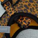EcoBark Step in Dog Harness - Eco-Friendly Small Breed Dog Harnesses for XS and Small Dogs - Reflective and Adjustable Mini Body Halter Vest - Soft Mesh Toy Breed Harness (Cheetah,Small) (Small- 7 to 10 lbs - Chest Up to 14 in (Pack of 1))
