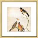 10x10 Picture Frame, Brass Metal Square Photo Frames with HD Glass, Fits 6x6 with Mat or 10 x 10 without Mat, Display for Wall and Table, 1 Pack