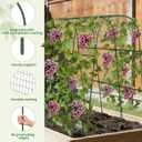 Cucumber Trellis, Metal Garden Arch Trellis for Raised Bed, 48 x 48inch U-Shape Garden Trellis for Climbing Plants Outdoor, Vegetables Fruit Plant Support with Netting, Gardening Supplies (Green)