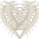 50pcs 2-1/2" Mini Satin Ribbon Bows with Twist Ties for Crafts Gift Wrapping Packing Christmas Decoration (2.5"-Ivory)