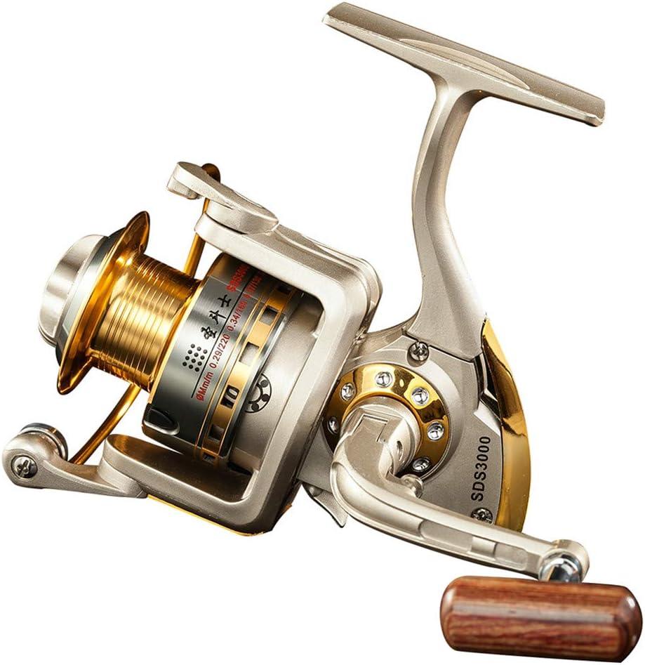 Diwa Spinning Fishing Reels for Saltwater Freshwater 1000 2000 3000 4000 5000 6000 Series Fishing Spool Left/Right Interchangeable Trout Carp Spinning Reel Light and Smooth