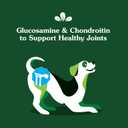 Greenies Supplements Hip and Joint Supplements for Dogs, with Chondroitin & Glucosamine for Dogs, Chicken Flavor, 6.08 oz. Pouch, 30 Count