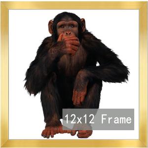 RUN HELIX 12x12 Frame, Horizontal and Vertical Formats for Wall Hanging, 12 x 12 Square Wall Gallery Poster Photo Frame with Durable Shatter Resistant Plexiglass, 12 x 12 Picture Frame Gold