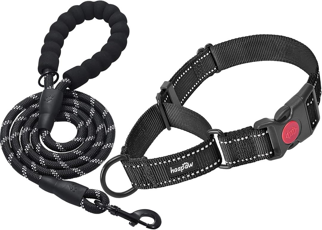 haapaw Martingale Dog Collar with Quick Release Buckle Reflective Dog Training Collars for Dogs