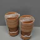 Orceler 4 Inch Terracotta Pots with Saucer - 6 Pack Small Clay Plant Pots with Drainage Holes, Flower Pots with Tray, Terra Cotta Pots for Indoor Outdoor Plants, Crafts, Wedding Favor