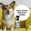 2 x Poo-Pourri Furrest Fresh Dog Deodorizing Spray, 8 Fl Oz Grooming Perfume for Dog Coat, Pet Odor Neutralizer with Essential Oils, Vet Recommended, Paraben & Sulfate-Free Fir, Amber, & Cedarwood Scent