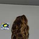 FESHFEN Ponytail Extensions, Drawstring Ponytails Hair Extension Golden Brown Mix Blonde Short Curly Wavy Hair Piece Synthetic Pony Tail Hairpieces for Women, 12 inch (12"-22H10# Golden Brown Mix Blonde)