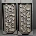 Deco 79 Shell Shell Handmade Home Wall Decor Abstract Wall Sculpture with Beige Linen Backing and Black Frame, Wall Art 12" x 2" x 30", Cream