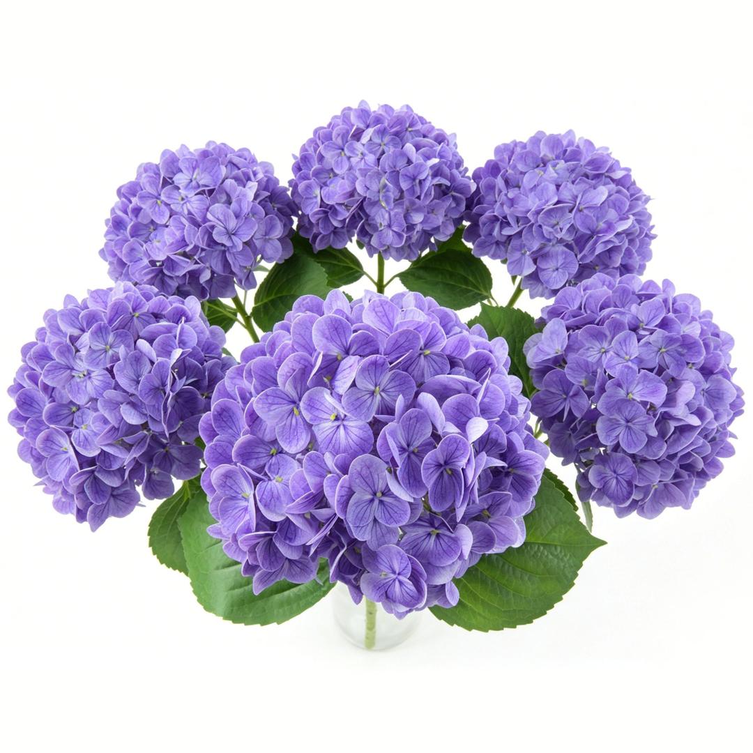 6 Pcs Faux Hydrangeas Real Touch Hydrangea Artificial Flowers Latex Large Fake Flower Long Stems for Wedding Home Party Table Centerpieces Decor (Purple)