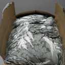 Green Comforter Set | King Size Comforter Set (104x90 Inches) | Luxury Fluffy Down Alternative All Seasons Bedding Set with 2 Pillow Shams | Lightweight Microfiber with Botanical Leaf Print