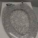 Elongated Resin Toilet Seat Glitter Silver, Slow Quiet-Close Lid and Seat, Heavy Duty Toilet Seats for Standard Toilet, Easy Installation & Cleaning (19Inch, Silver Foil, Upgraded hinges)